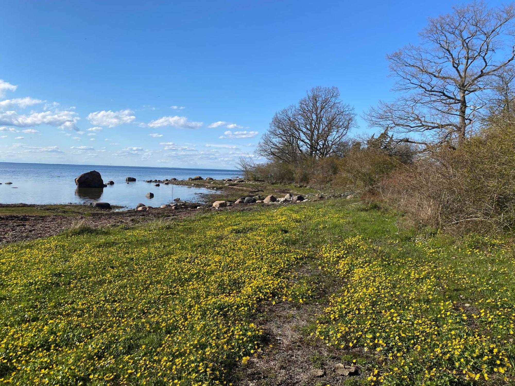 Gard Halltorps Hage Borgholm Buitenkant foto