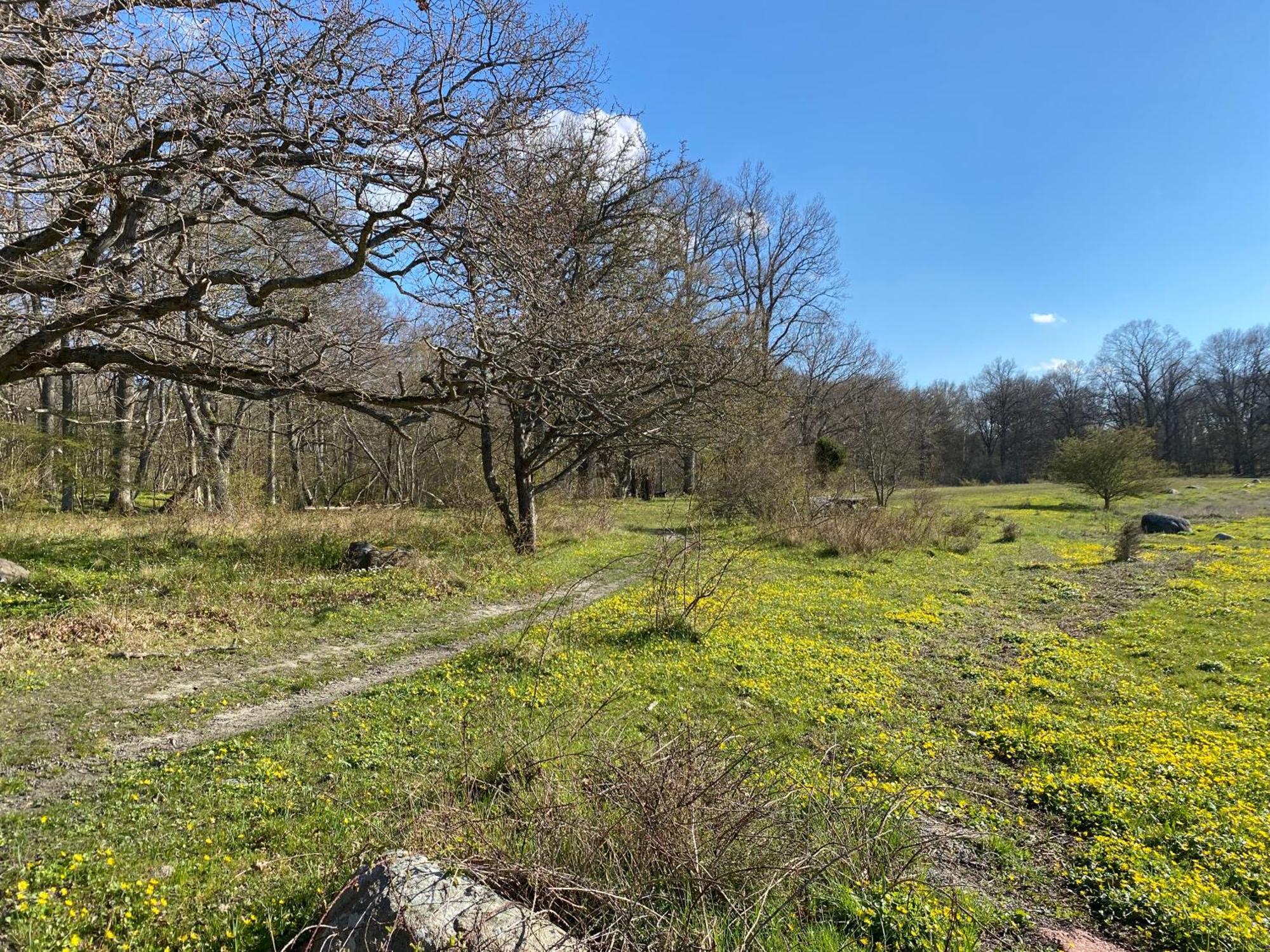 Gard Halltorps Hage Borgholm Buitenkant foto